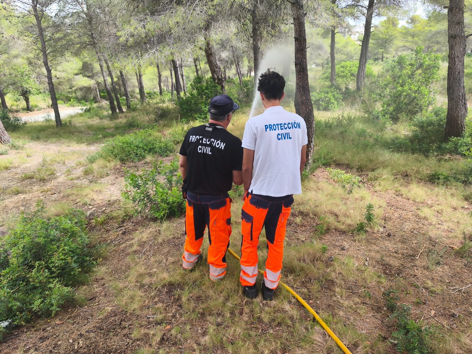 Intervención y prevención en monte